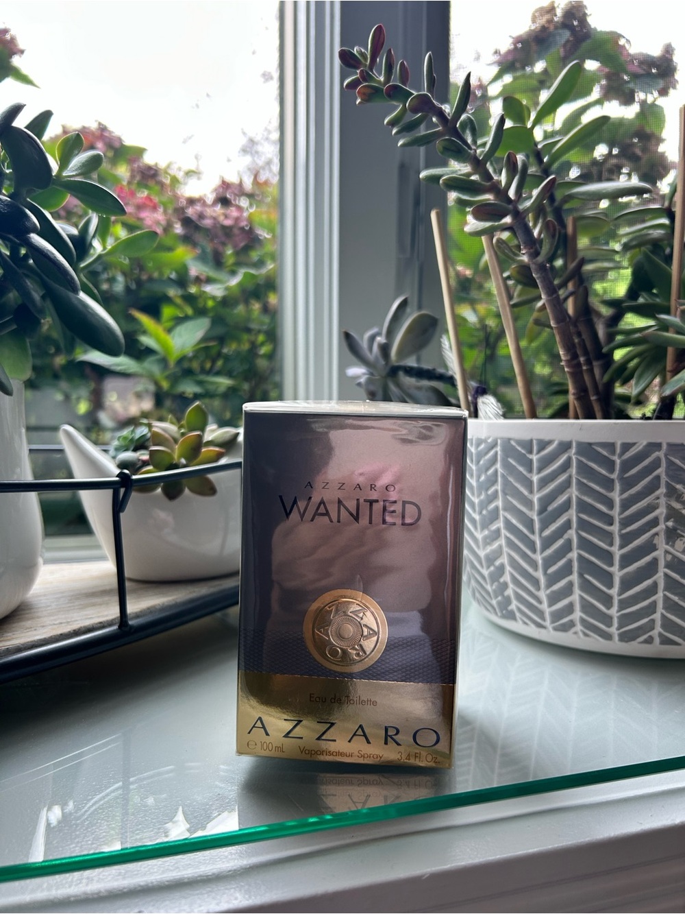Azzaro Wanted Man NIB